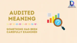 audited meaning