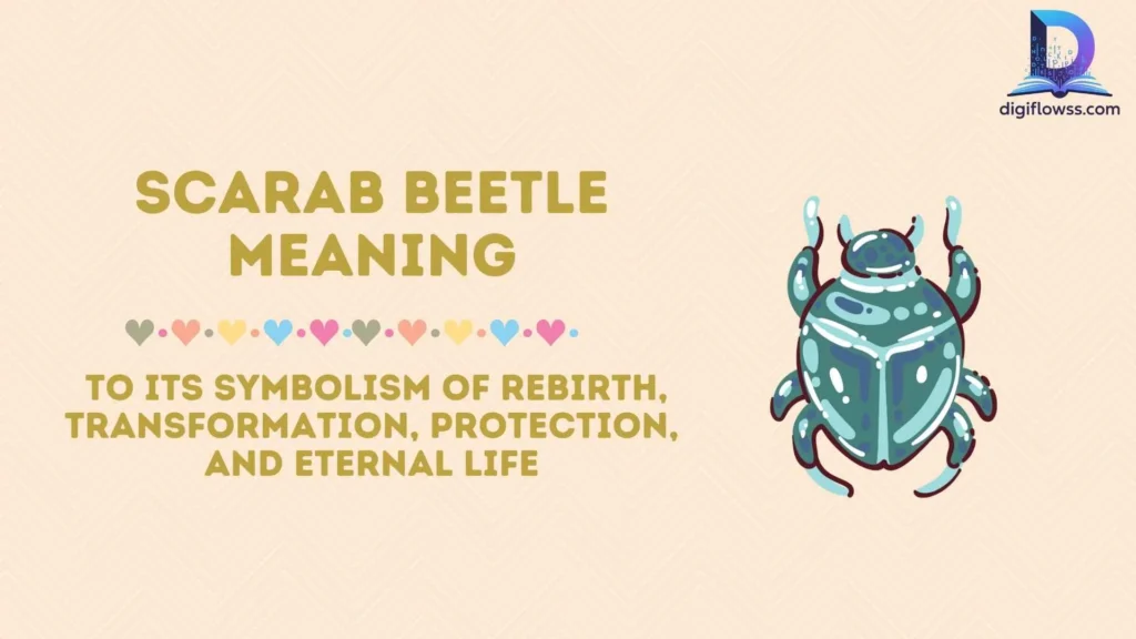 scarab beetle meaning