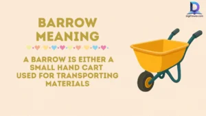 Barrow Meaning